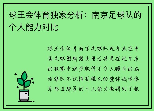 球王会体育独家分析：南京足球队的个人能力对比